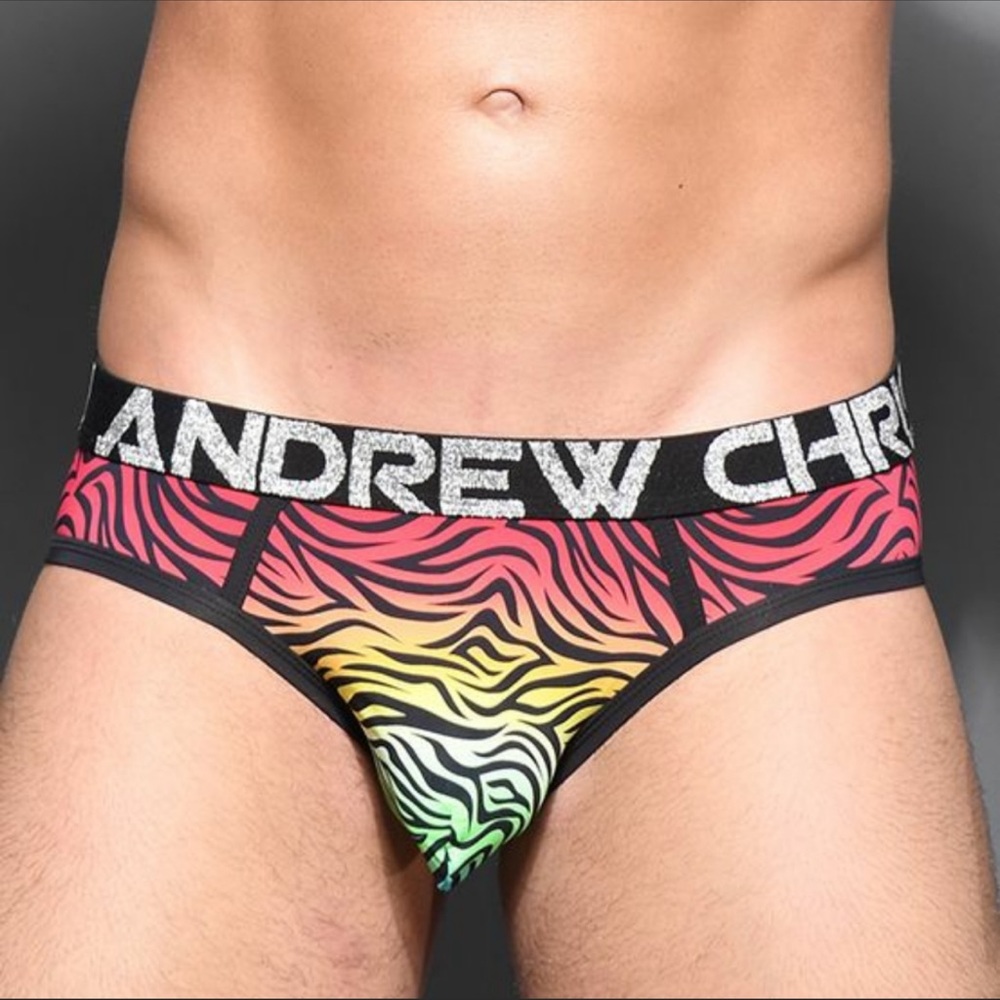 Andrew Christian Rainbow Zebra Animal Print Pride Briefs